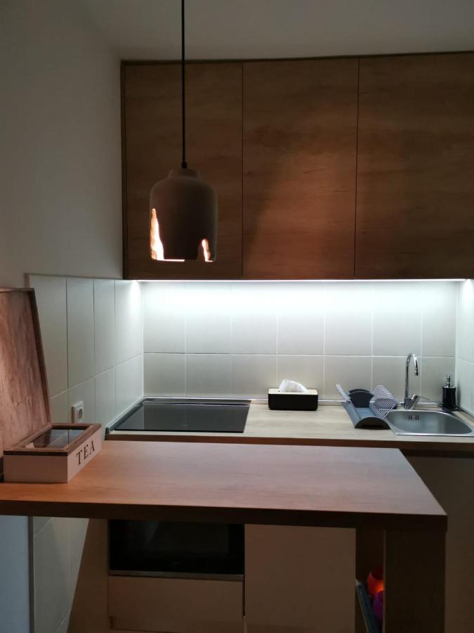 פודגוריצה Studio Apartment Art Zone מראה חיצוני תמונה